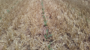 captura_de_pantalla_2016-07-14_a_las_12.04.36