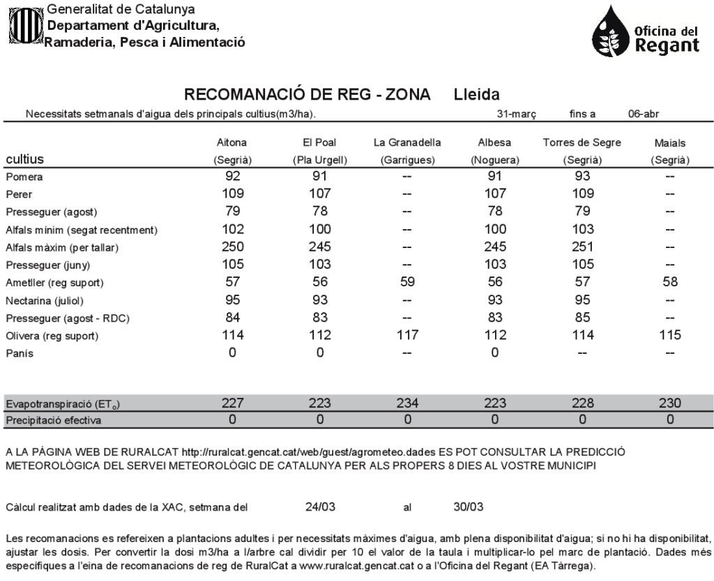 reg 31 març