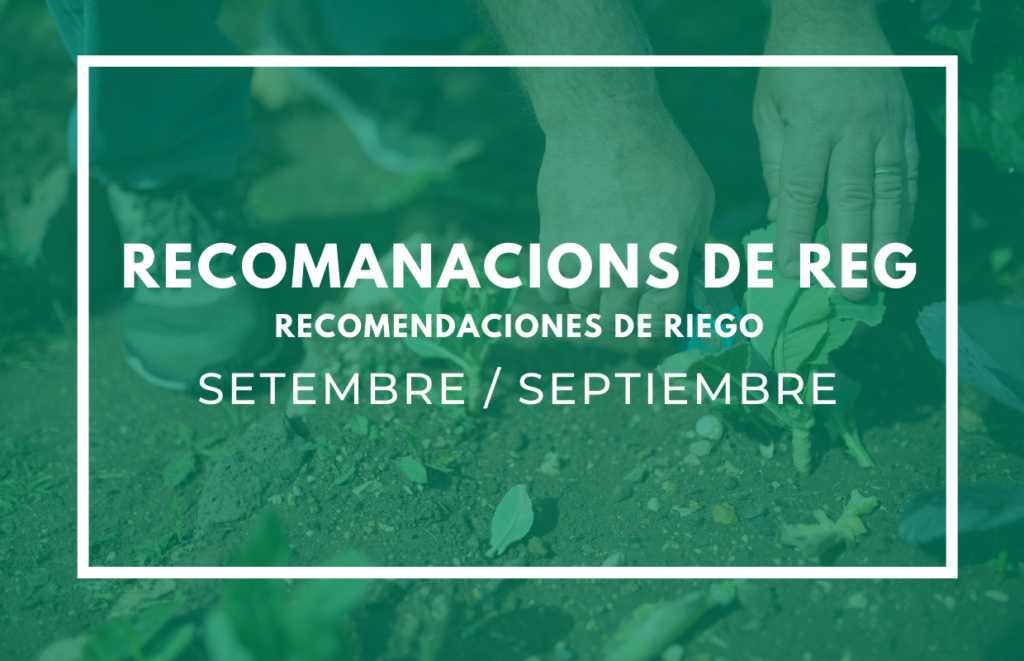 recomanacions de reg setembre