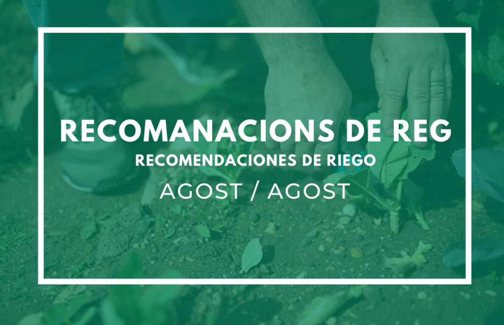 recomanacions de reg agost
